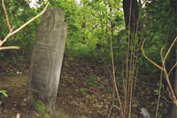 Zelechow aujourd'hui : les restes du cimetière juif.