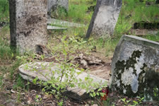 La tombe de Yenkel Ryfman, retrouvée dans les restes du cimetière d'Anielin, en mai 2006.
