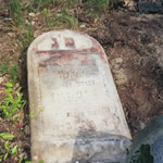 La tombe de Yenkel Ryfman, retrouvée dans les restes du cimetière d'Anielin, en mai 2006.